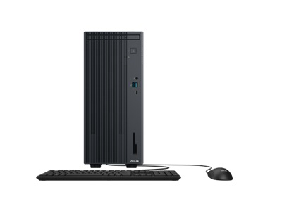 Asus DSK P500MV-31315U006X 256GB SSD 8GB Win11Pro